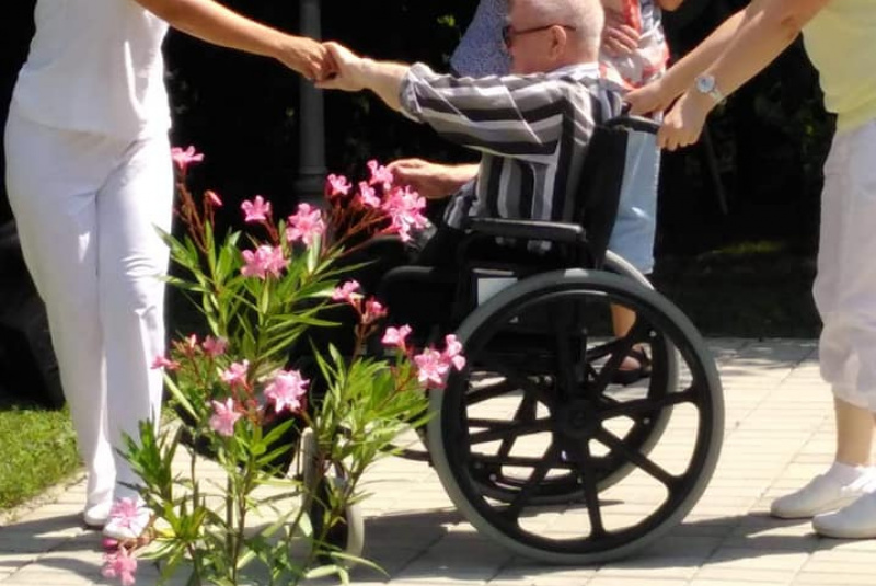 Ovocný deň Ovocný deň