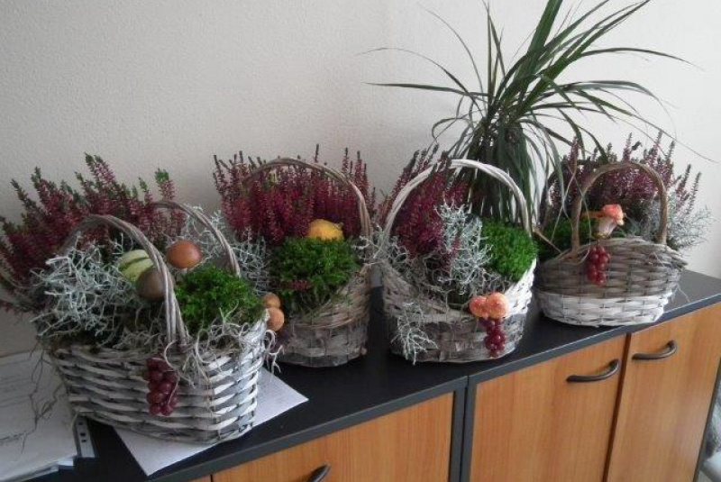 Senior DAY 2016 Senior DAY 2016