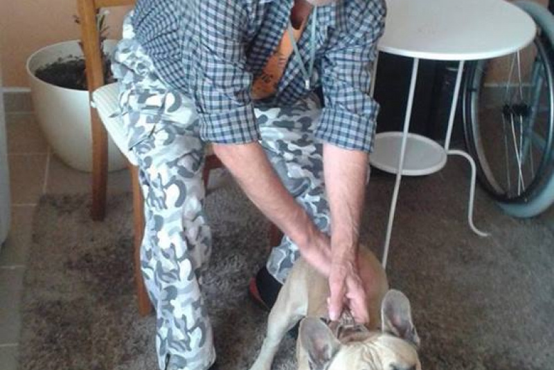 Canisterapia Canisterapia