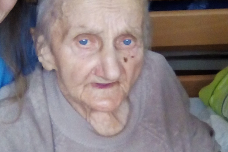 Valentín 2016 Valentín 2016